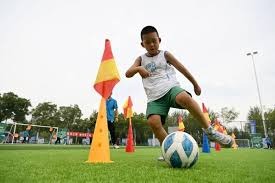 阿里纳斯：东契奇无需变得攻防兼备，库里也不是防守悍将